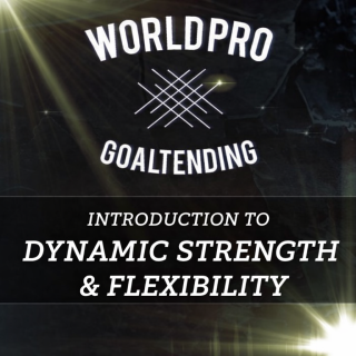 Introduction to Dynamic Strength & Flexibility
